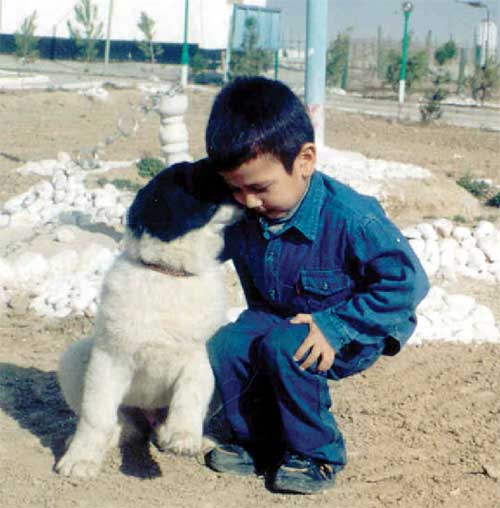 Boy with Central Asian Shepherd