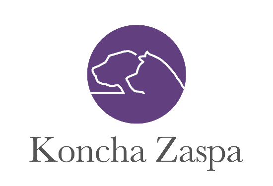 Koncha Zaspa Kennel